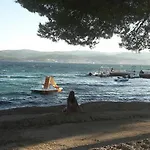 Dodik *