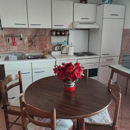 Apartment Dodik *