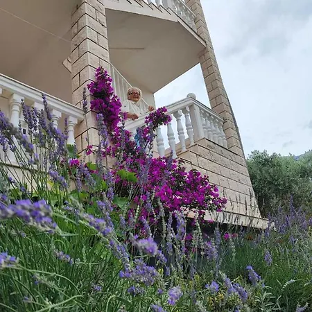 Dodik アパート *